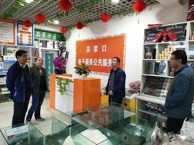 渭源縣電子商務(wù)公共服務(wù)站點工作檢查與指導(dǎo)總結(jié)